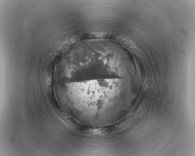 X0000115130365200911101652
