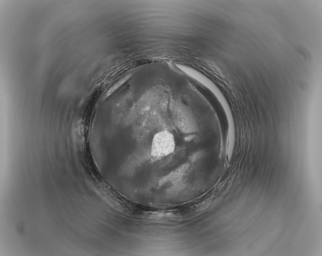 X0000115130366200911101652