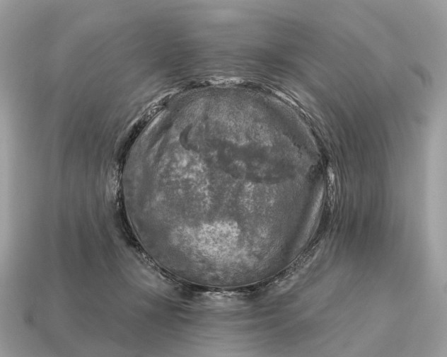 X0000115130367200911101652