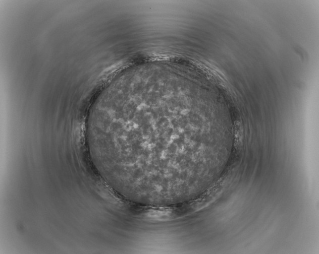 X0000115130369200911101652