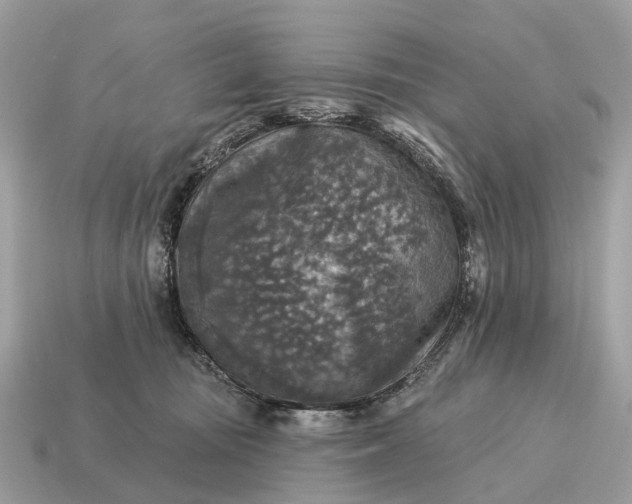 X0000115130371200911101652