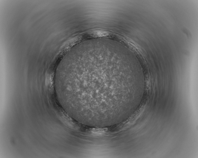 X0000115130373200911101652