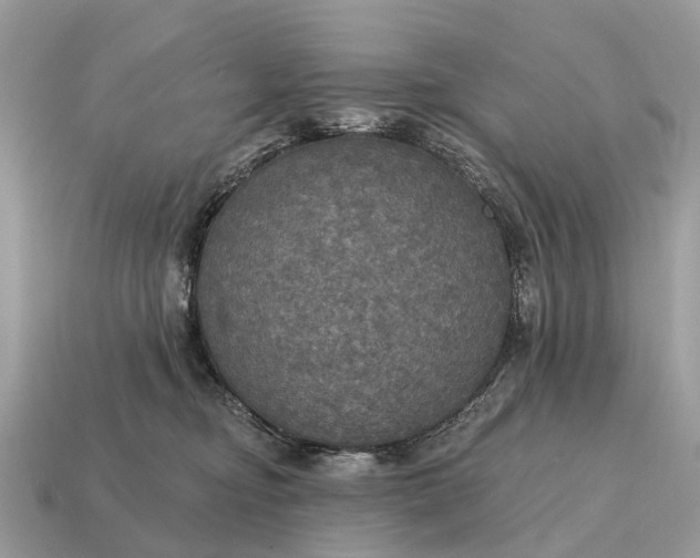 X0000115130374200911101652