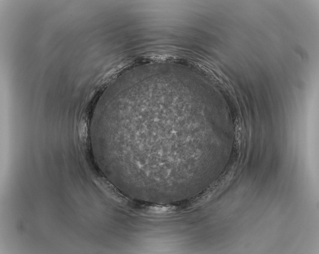 X0000115130375200911101652