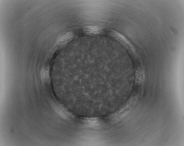X0000115130377200911101652