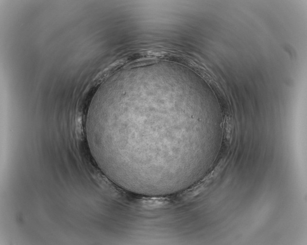 X0000115130378200911101652