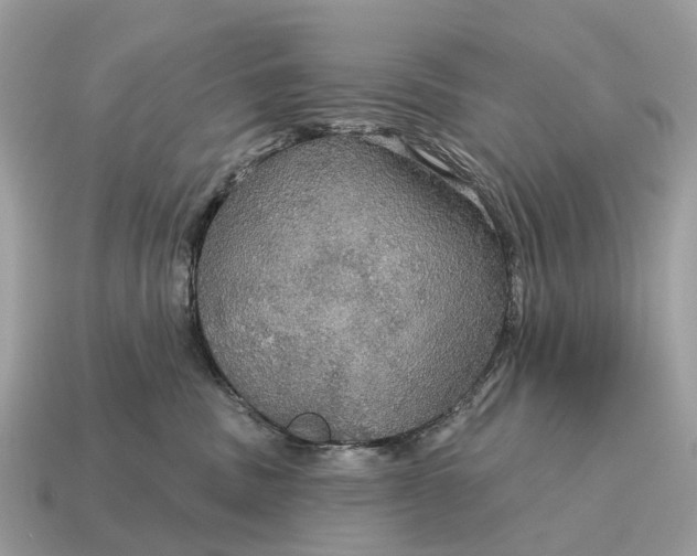 X0000115130379200911101652