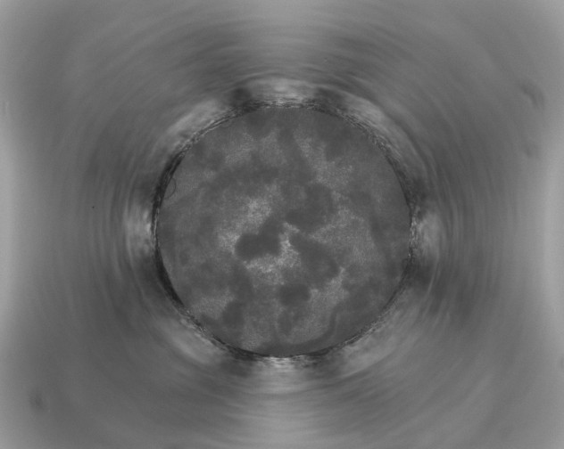 X0000115130381200911101652