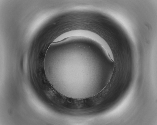X0000115130382200911101652