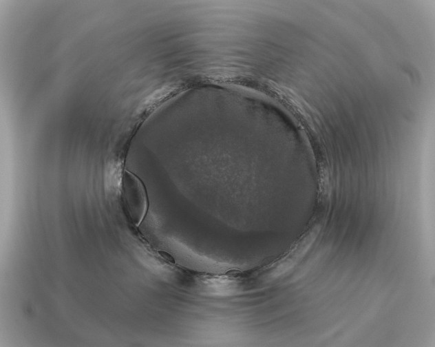X0000115130383200911101652