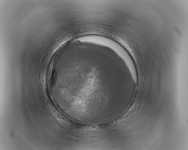 X0000115130386200911101651