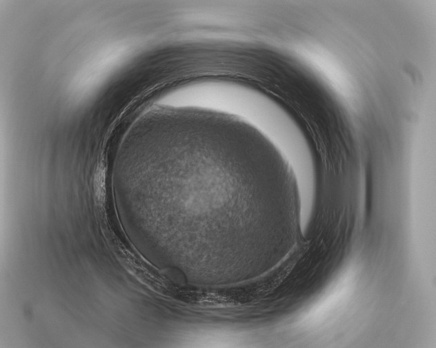 X0000115130387200911101651