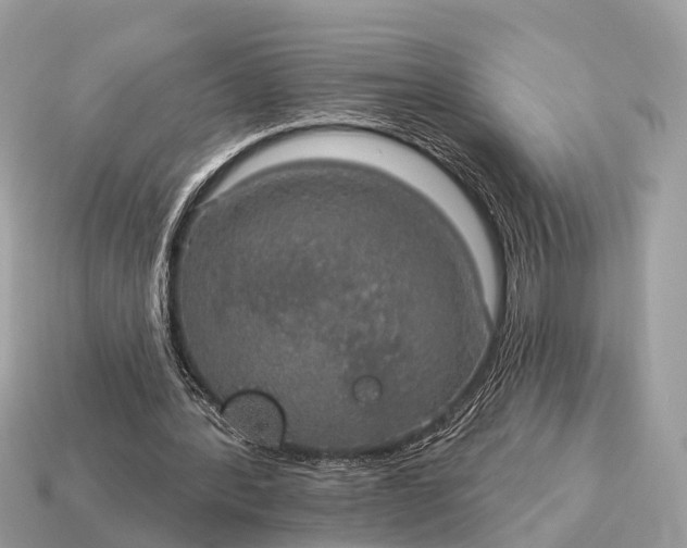 X0000115130388200911101651