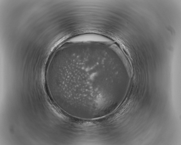 X0000115130390200911101651