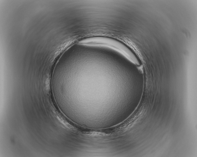 X0000115130393200911101651