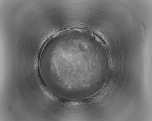 X0000115130394200911101651