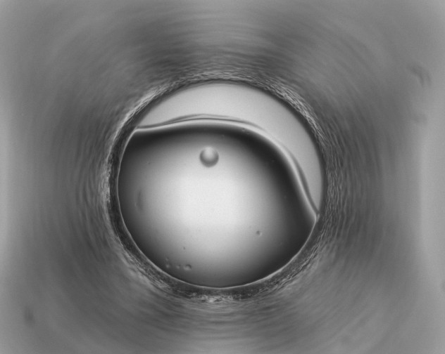 X0000115130395200911101651