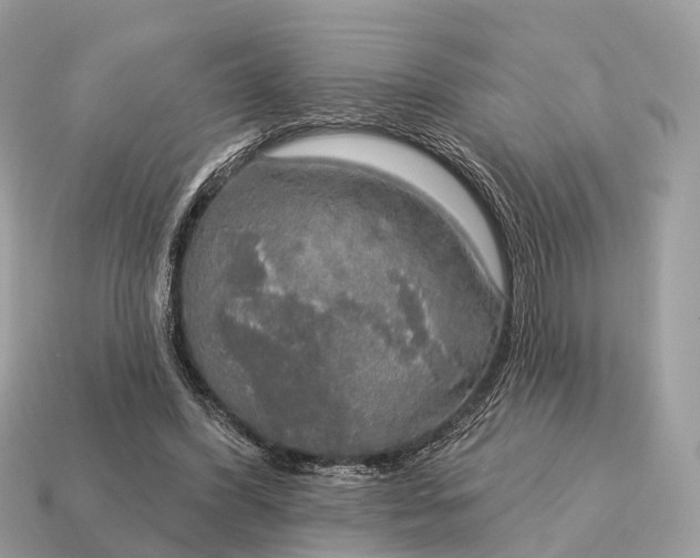X0000115130396200911101651