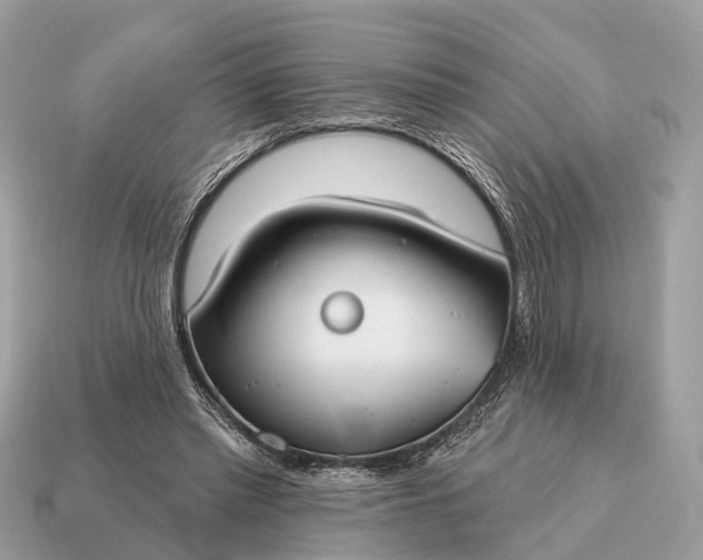 X0000115130397200911101651