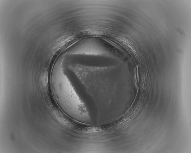 X0000115130398200911101651