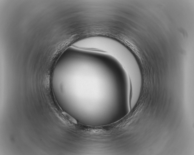 X0000115130401200911101651