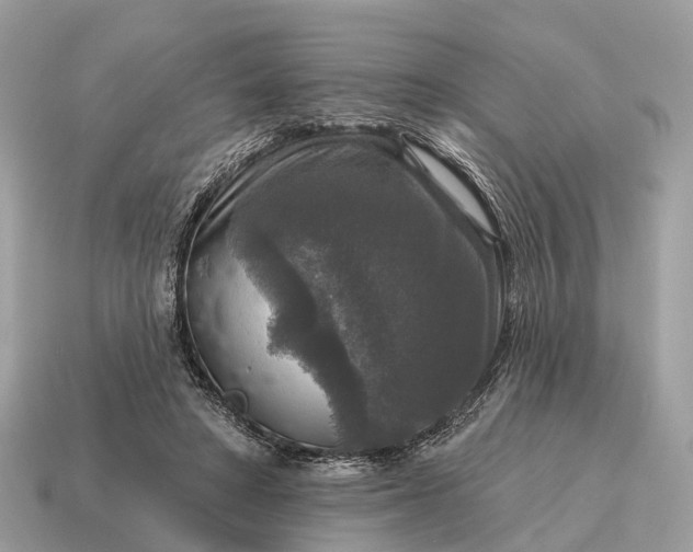 X0000115130402200911101651