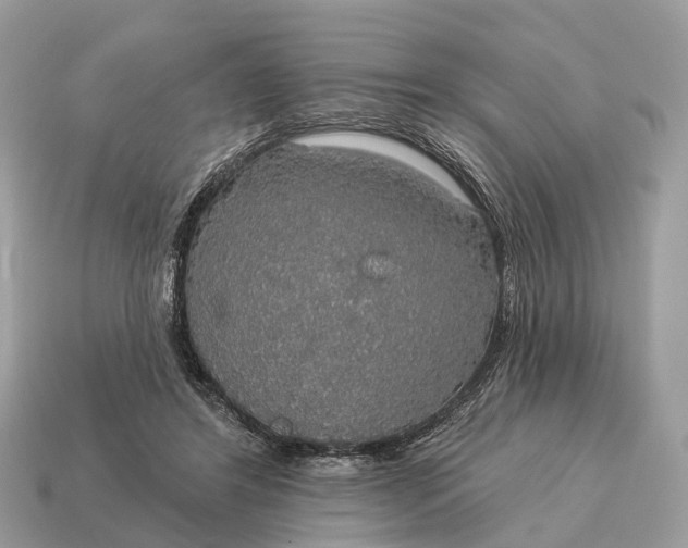 X0000115130404200911101651