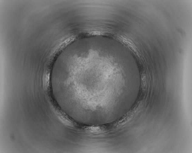 X0000115130406200911101651