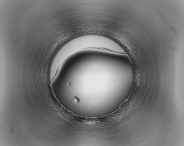 X0000115130407200911101651