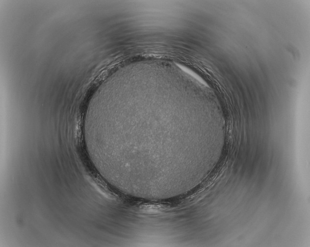 X0000115130408200911101651