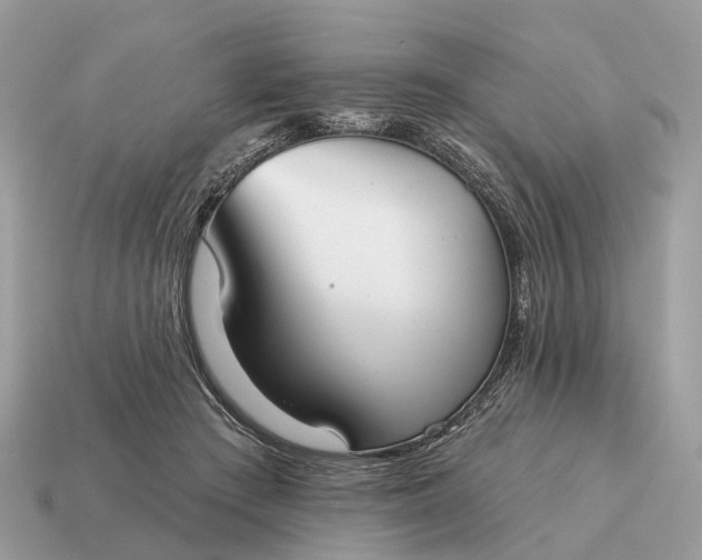 X0000115130409200911101651