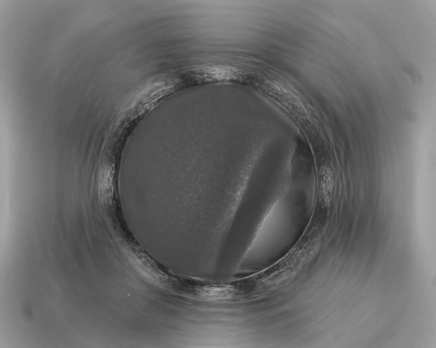 X0000115130410200911101651