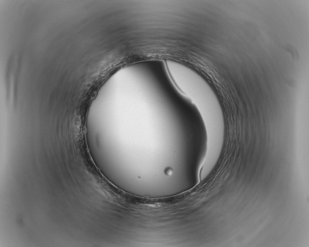X0000115130411200911101651