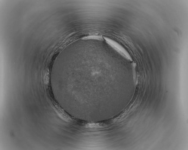 X0000115130413200911101651