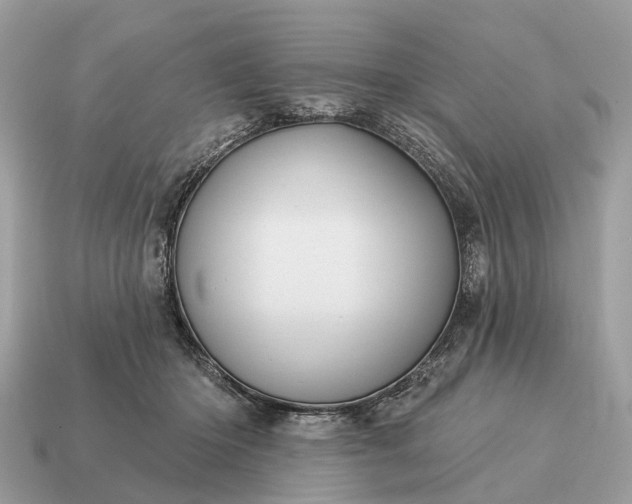 X0000115130414200911101651