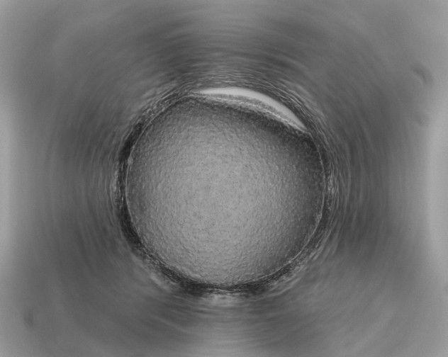 X0000115130416200911101651