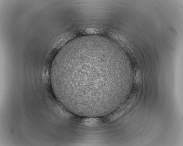 X0000115130418200911101651