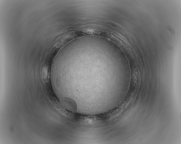 X0000115130420200911101651