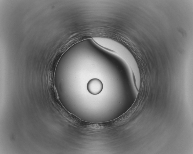 X0000115130421200911101651