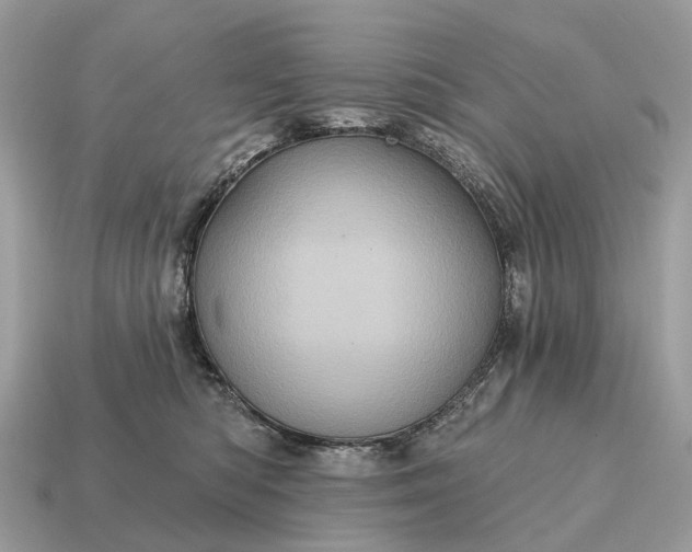 X0000115130422200911101651