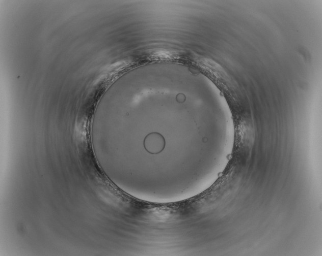 X0000115130423200911101651