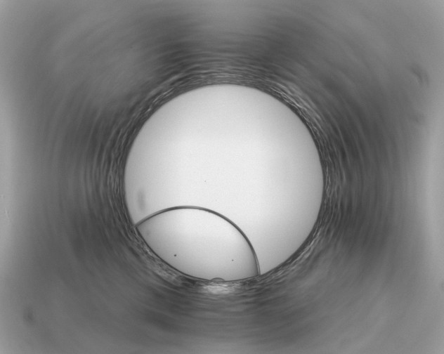 X0000115130425200911101651