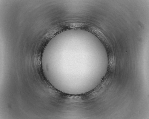 X0000115130426200911101651