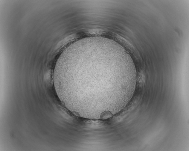 X0000115130428200911101651