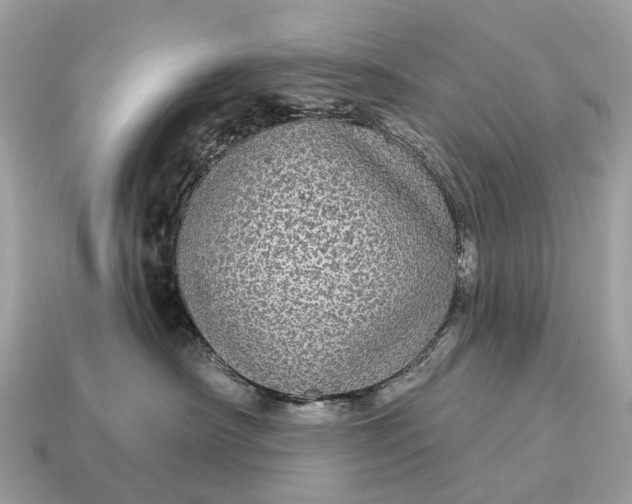 X0000115130430200911101651