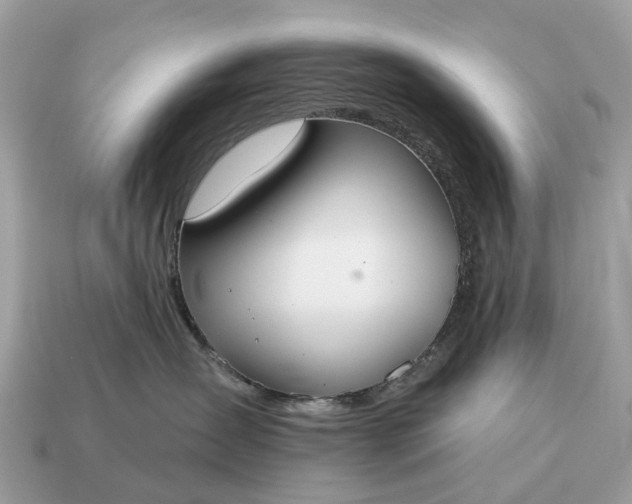X0000115130431200911101651
