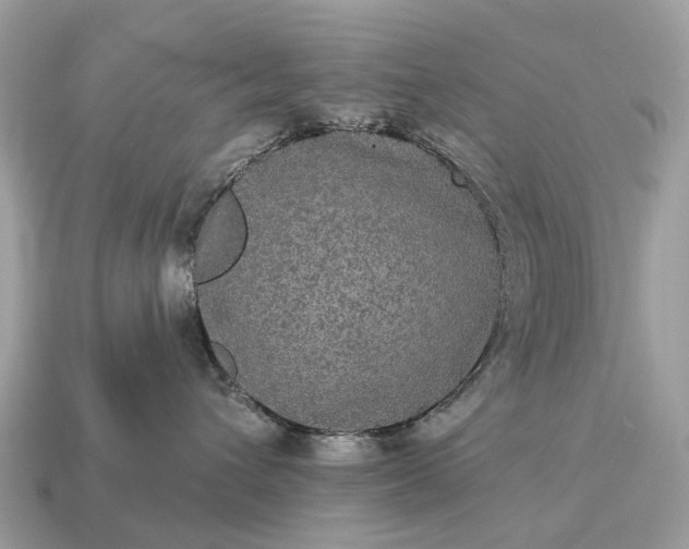 X0000115130432200911101651