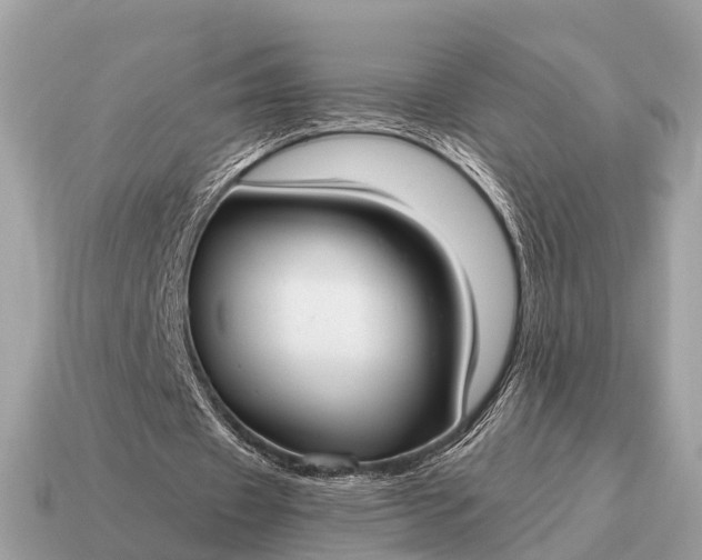 X0000115130433200911101650