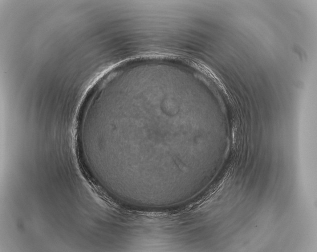 X0000115130436200911101650