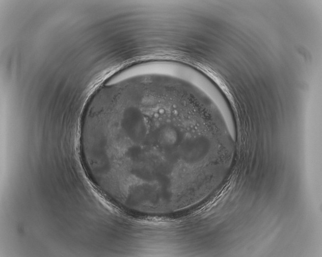 X0000115130437200911101650